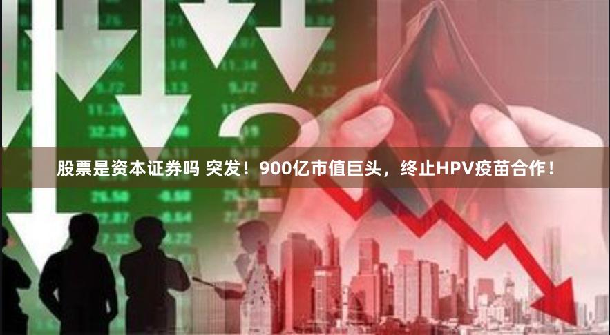 股票是资本证券吗 突发！900亿市值巨头，终止HPV疫苗合作！