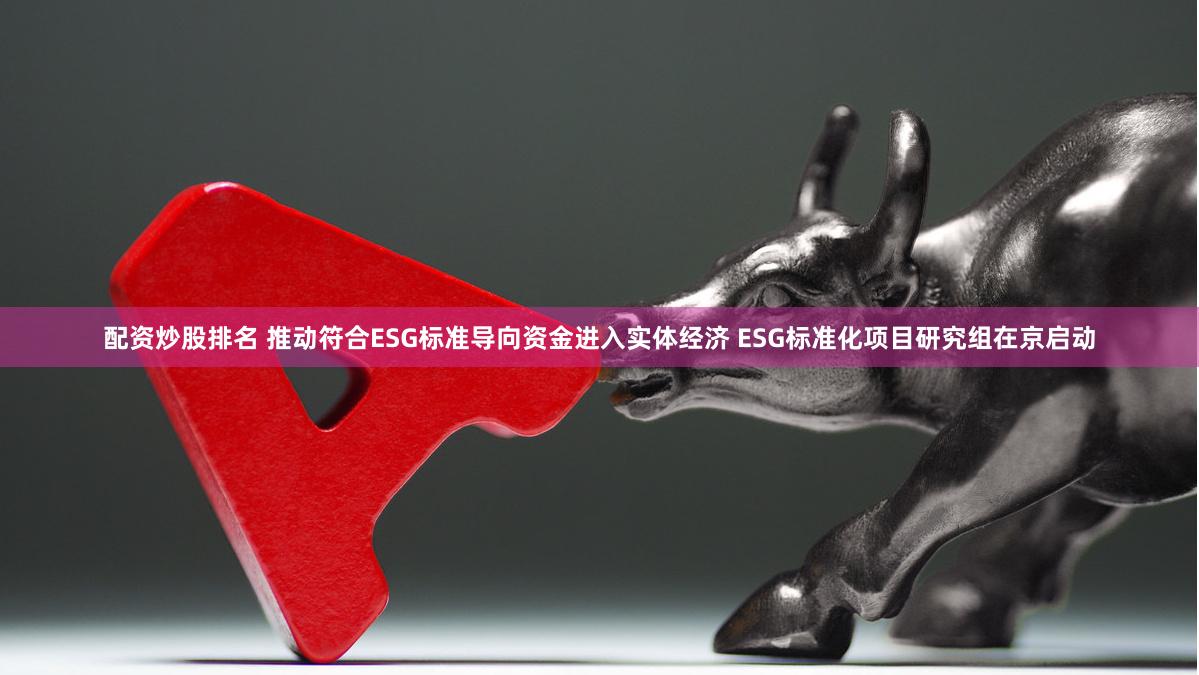 配资炒股排名 推动符合ESG标准导向资金进入实体经济 ESG标准化项目研究组在京启动